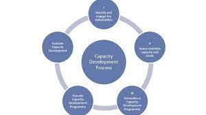 Capacity Enhancement Development